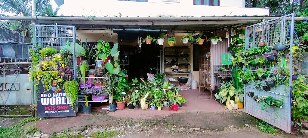 Kifo natural world