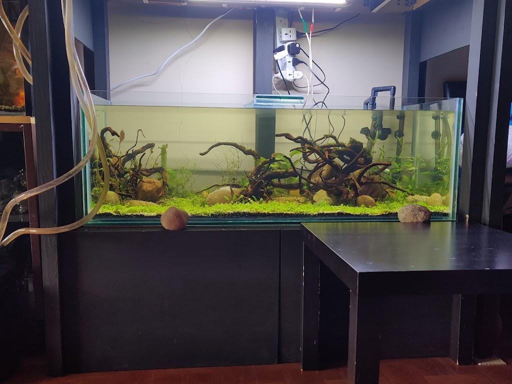 Fishtanq