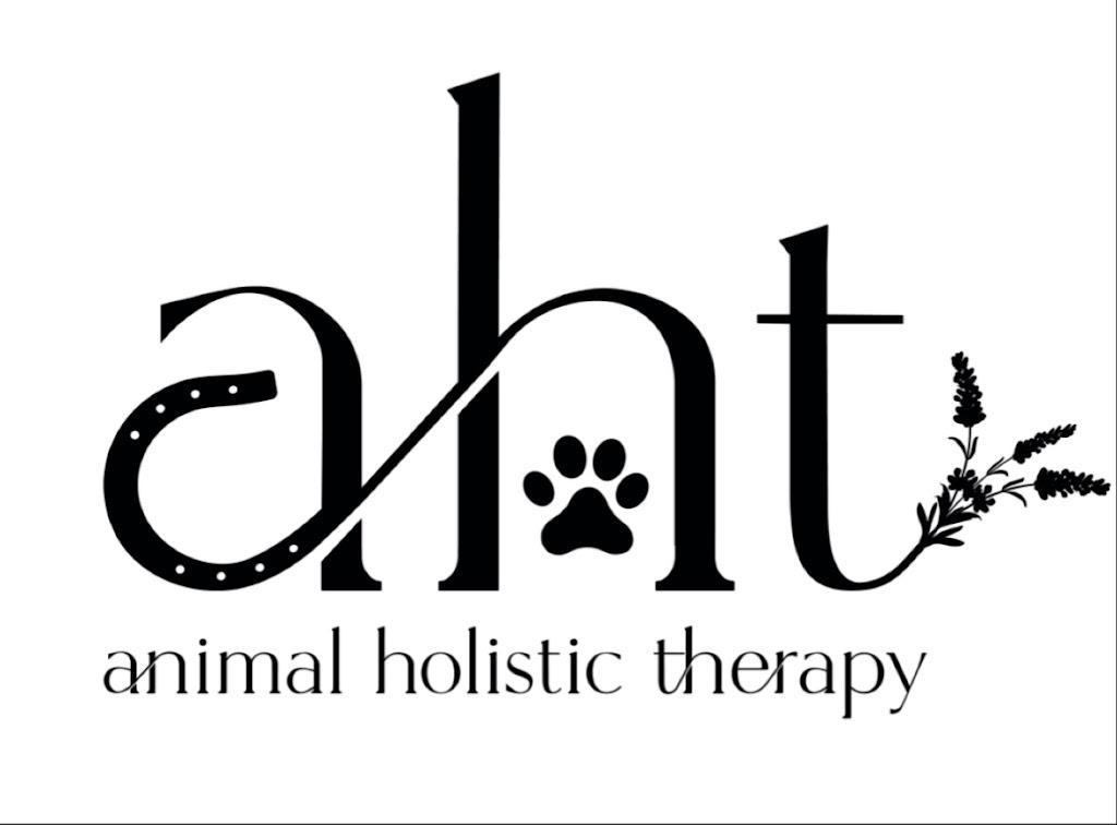 AHT - Animal Holistic Therapy