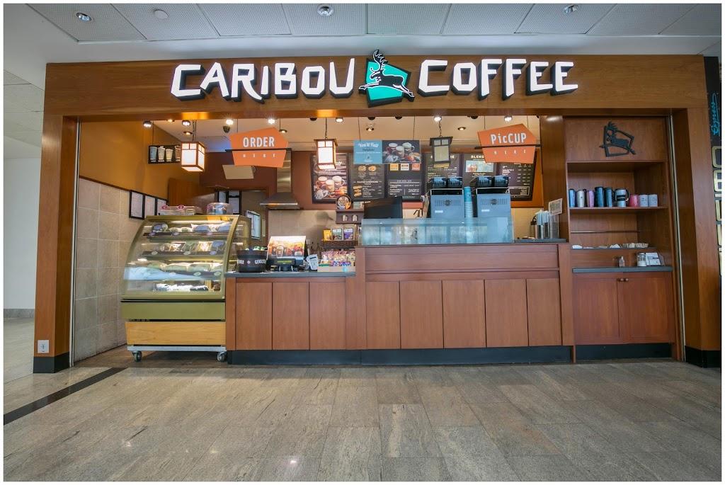 Caribou Coffee Gust University