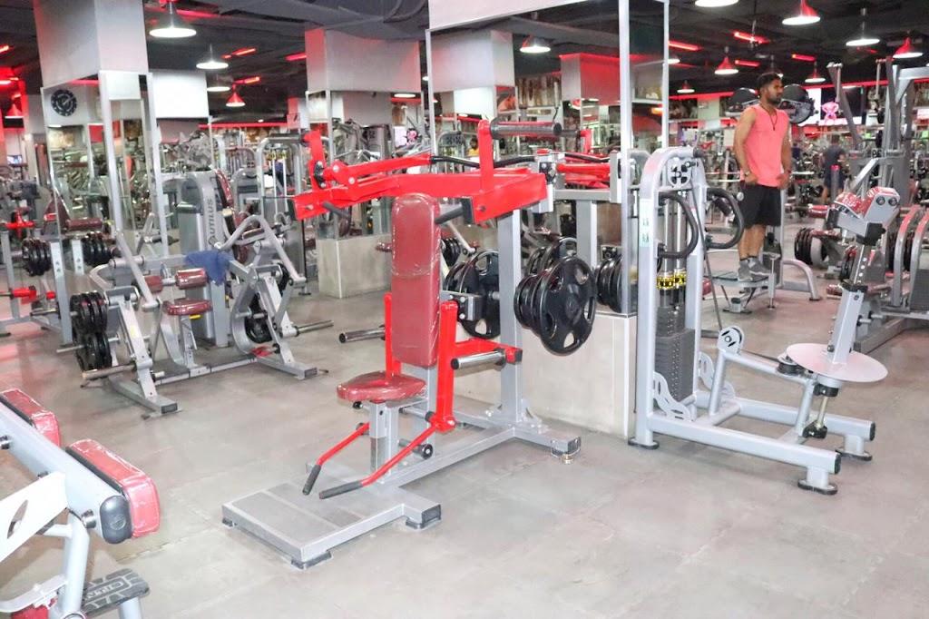 Titanium Shark Gym