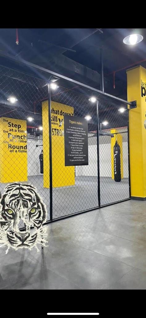Tigers squad gym